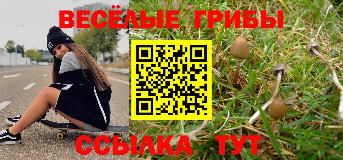 Псилоцибиновые грибы GOLDEN TEACHER  Вход с VPN  Искитим 