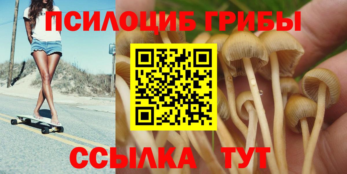 Псилоцибиновые грибы Psilocybine cubensis Искитим